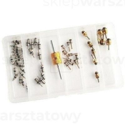 Zestaw zaworków do klimatyzacji 46 elementów (IC-0XAT3043/P)